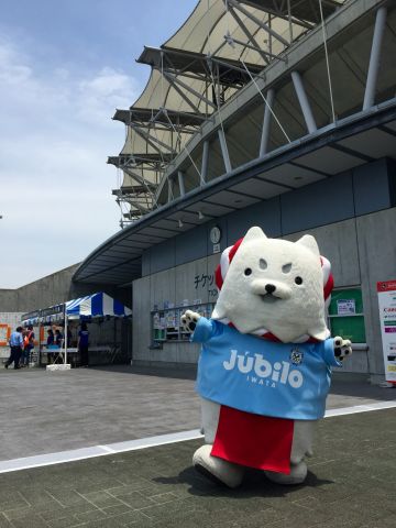 しっぺいきゃわわ