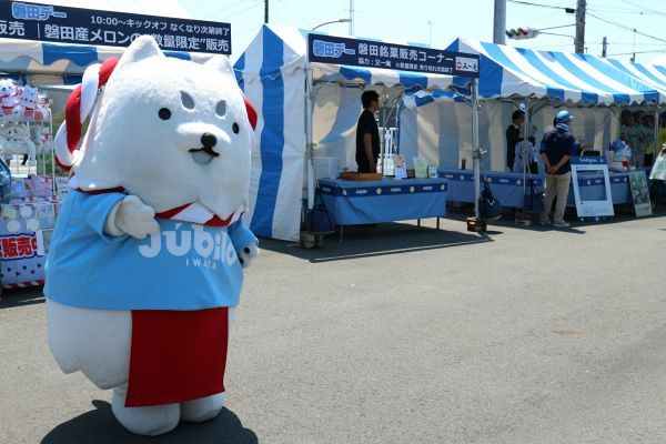 お仕事♪