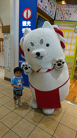 しっぺいと一緒