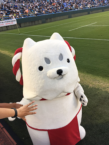 しっぺいタッチ！