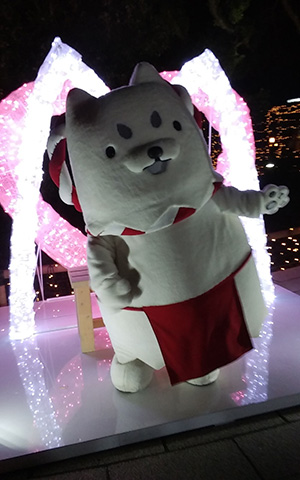 イルミネーション電灯式