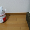 ダンス練習中！