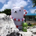民宿でこんにちは♪