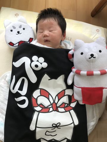 しっぺいとお昼寝