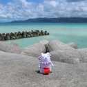 離島におでかけ♪