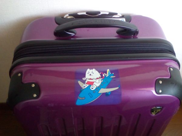 飛行機に乗ったしっぺい
