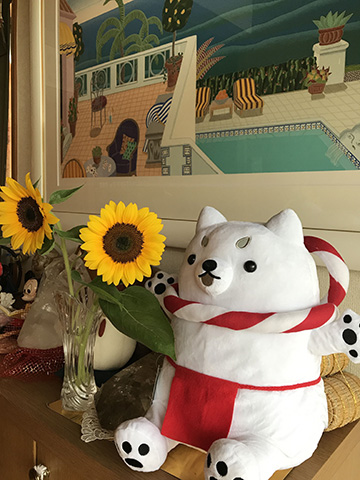 磐田に引っ越してきてよかった！