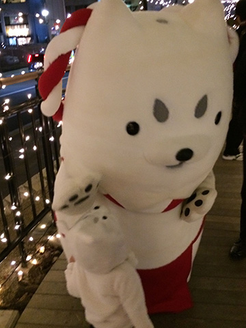 ミニしっぺい隠れる！