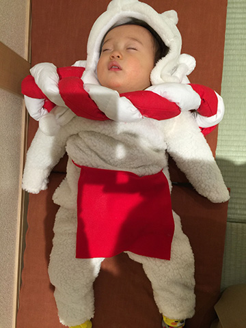 しっぺい、寝ちゃった